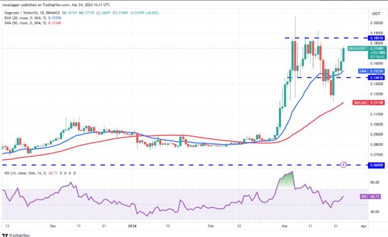 نمودار قیمت دوج کوین