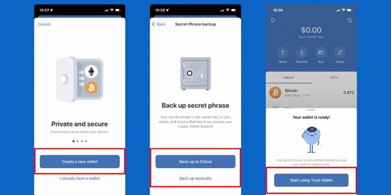 روی Start using Trust Wallet بزنید