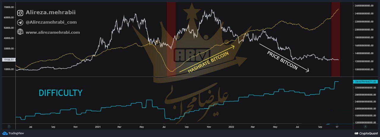 هش ریت در حال یکه تازی