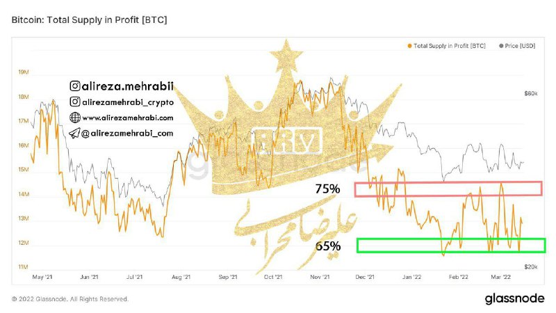 تحلیل شاخص Supply in profit و میزان بیت کوین‌ های در سود