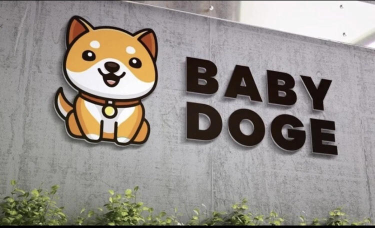 ارز دیجیتال Baby Dogecoin چگونه کار می کند؟
