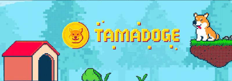 Tamadog