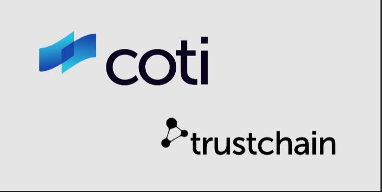 آیا روش کار شبکه COTI درست است؟