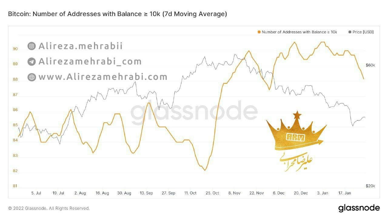 بررسی آدرس‌ نهنگ‌ های بیت کوین با موجودی بیش از 10,000 BTC