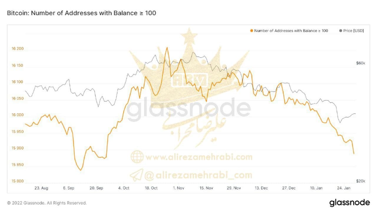 بررسی آدرس‌ها با موجودی بیش از 100واحد بیت کوین