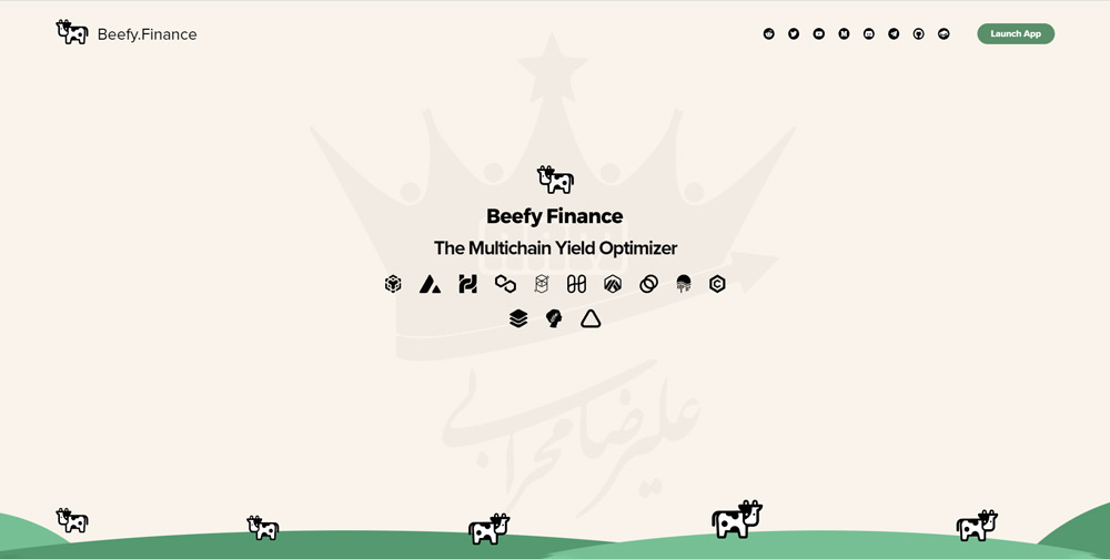 پلتفرم Beefy Finance چیست؟