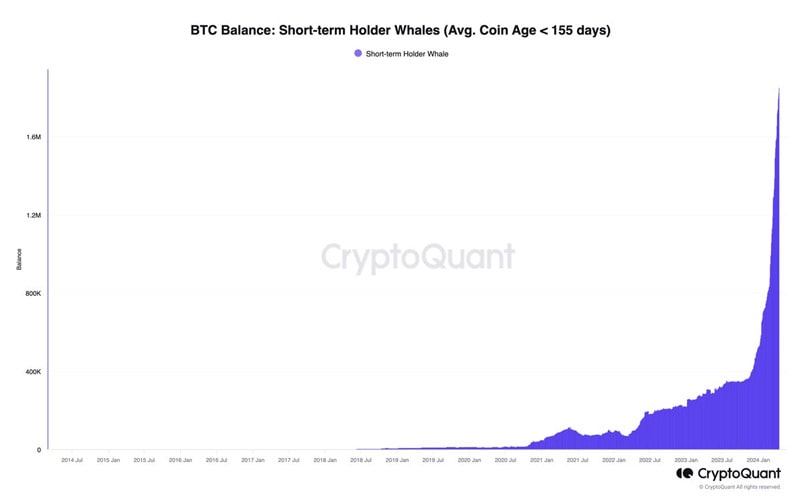 new-bitcoin-whales-now-control-9-of-btc-supply-mid- very-active-on-chain-accumulation-cryptoquant-CEO