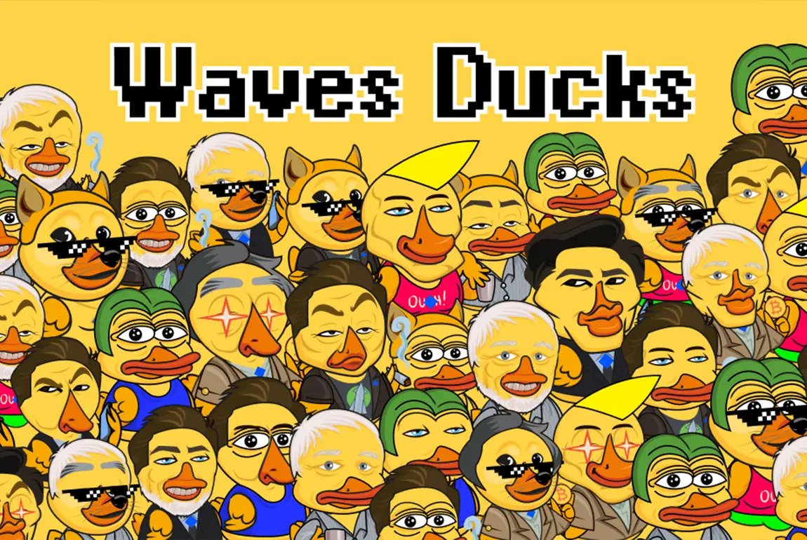 معرفی بازی Views Ducks