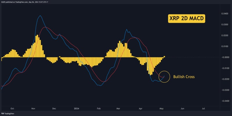 Why-ripple-xrp-price-up-