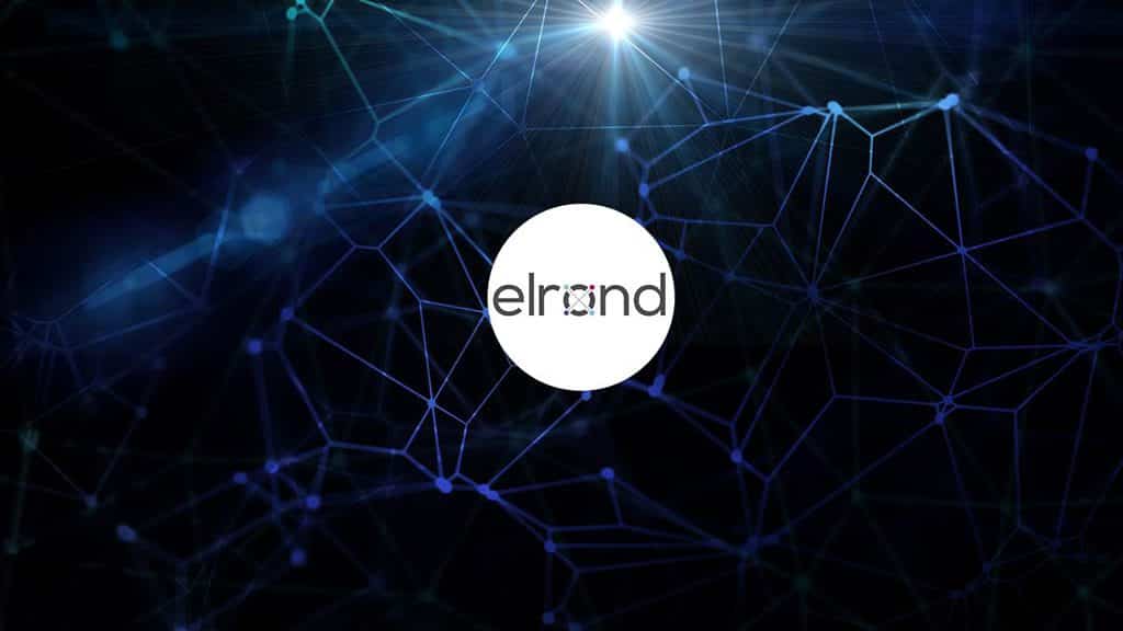 امنیت در ELROND چگونه تضمین می شود؟