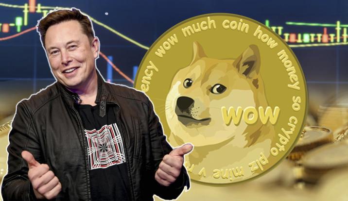 آیا استخراج Dogecoin سودآور است؟