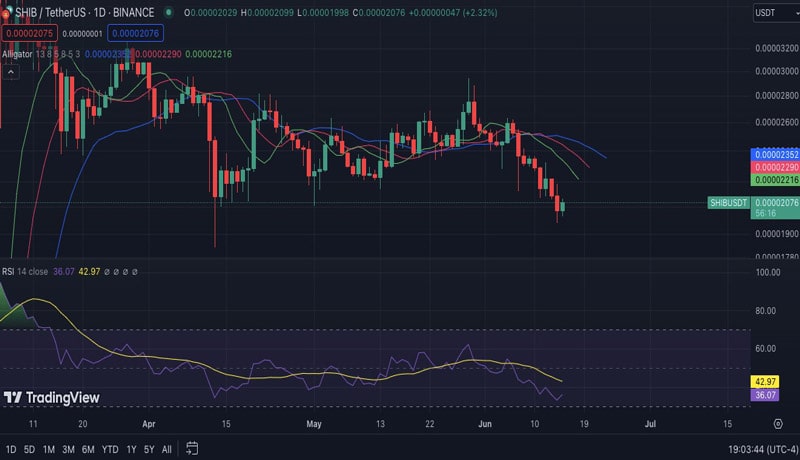 shib-burn-rate-soars-685-as-shiba-inu-community-anticipates-price-surge