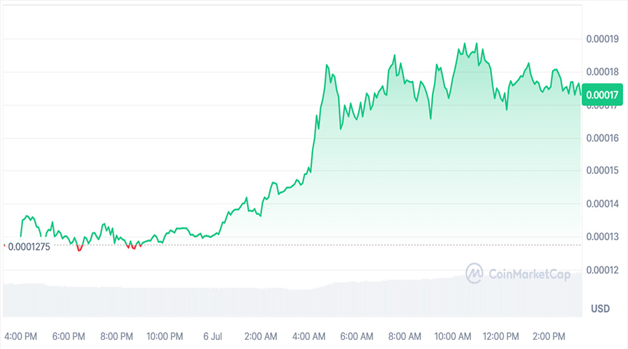 افزایش شگفت انگیز قیمت هوپی در بازار؛  بازده ماهانه HOPPY به 770٪ رسید!