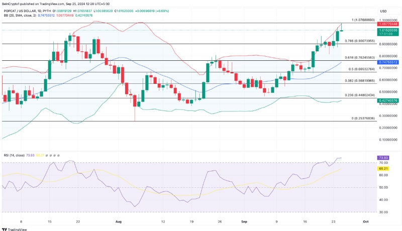 پاپکت-قیمت-بازار-کاپ رالی