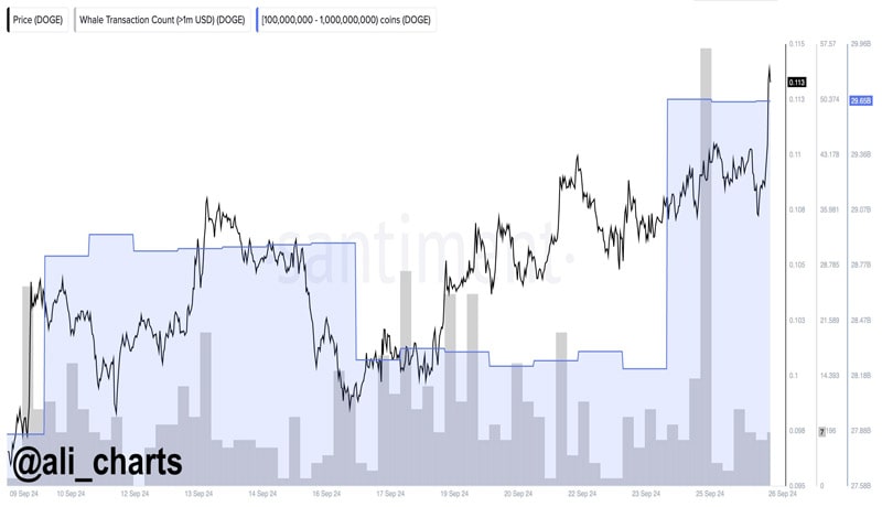 dogecoin-whales-doge-140-milion