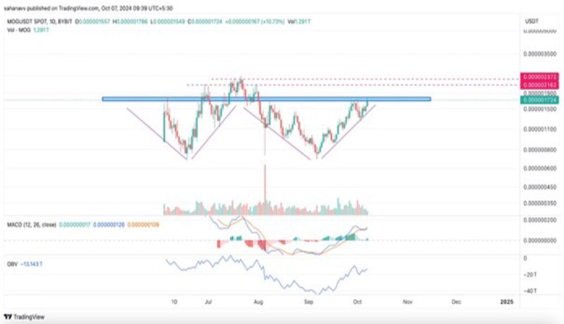 mog-skyrockets-popcat-hits-ath