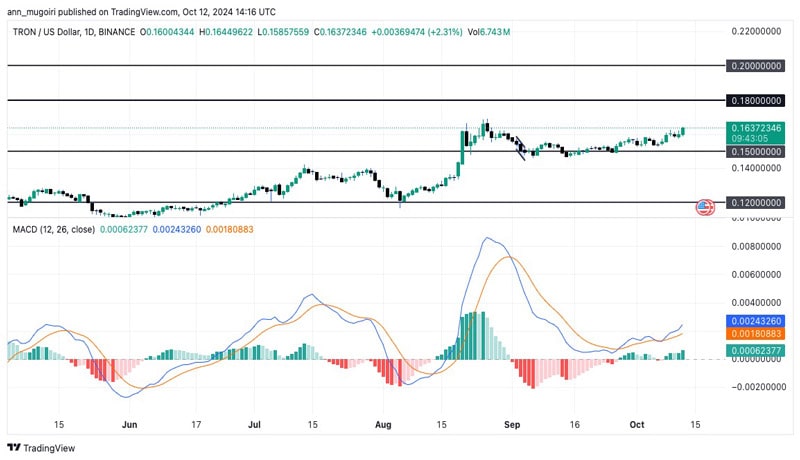 tron-price-slimbs-after-10-milion-trx-burn-whats-next-for-trx-