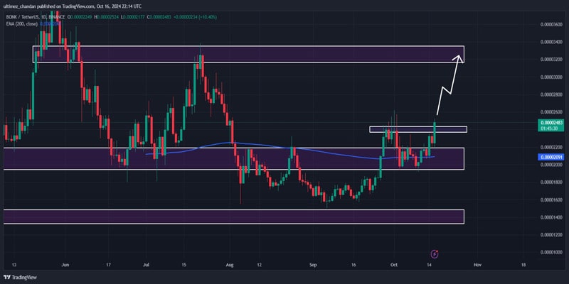 bonk-leads-crypto-market-set-for-30-raly-ahead