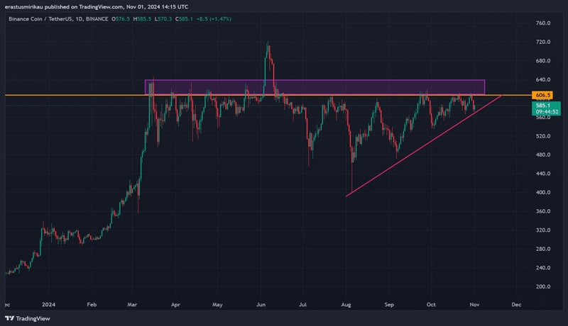 bnbs-29th-burn-examing-the-odds-of-altcoin-ralling-to-a-new-high- now