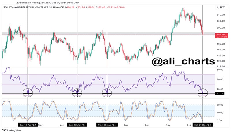 altcoins-set-to-perform-btc-january-2025