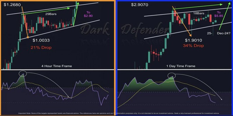 altcoins-set-to-perform-btc-january-2025
