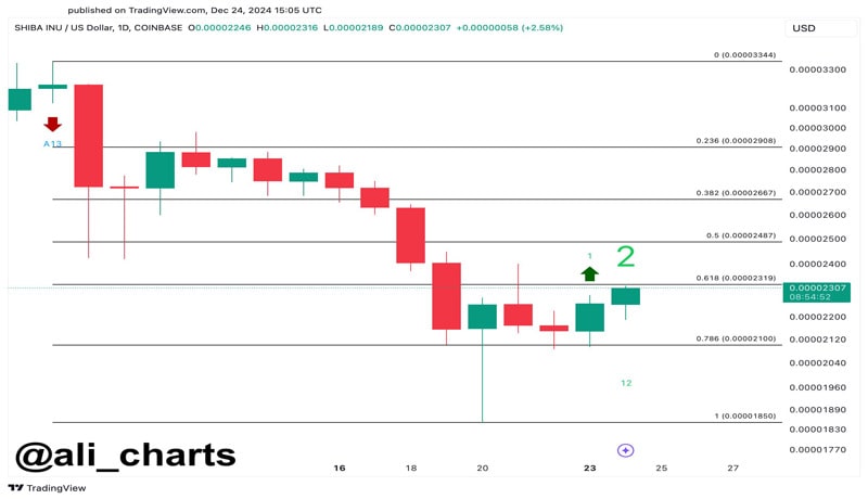 shib-blinking-buy-signal-applied-Base-the-heim-indicator-predicted-dogi-bounce-