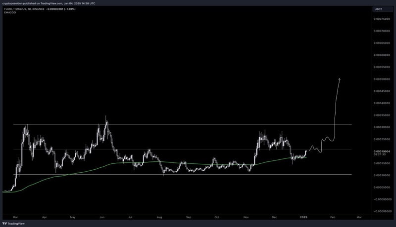 تحلیلگر-افشای-دو-سطحی-برای-تماشا-قبل از-floki-price-hits-ath