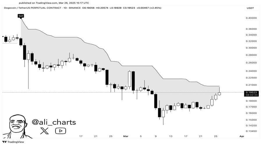 قیمت Dogecoin-Price-